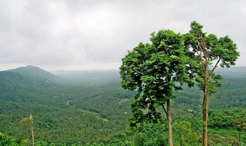 
            Arimbra Hills
