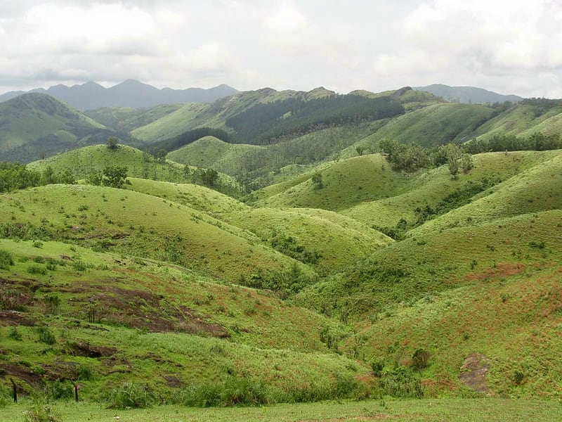 Vandanmedu