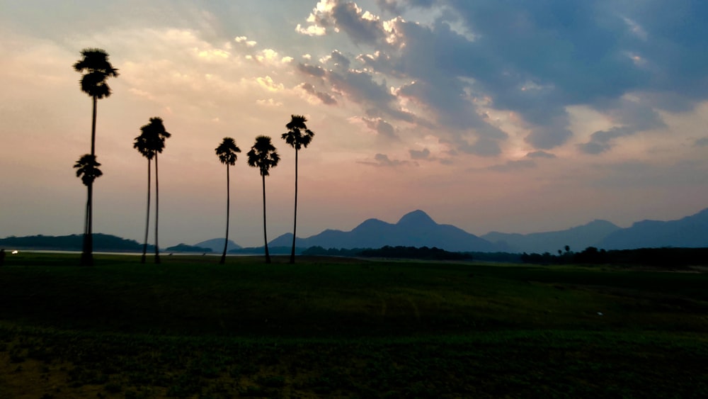 Palakkad